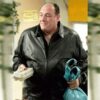 Tony Soprano Leather Jacket From The Sopranos James